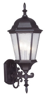 Hamilton 3 Light Outdoor Wall Lantern by Livex - 7561