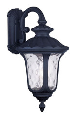 Oxford 3 Light Clear Glass Outdoor Wall Lantern 22.5 Inch Tall by Livex - 7857