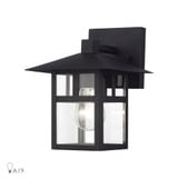 Crestlake 1 Medium Light Outdoor Wall Lantern by Livex - 21322