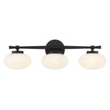 Barrow 3 Light Bath Vanity 8 Inch Tall and 25 Inch Wide by Savoy House - 8-1050-3