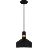 Arbor 1 Light Mini Pendant 11 Inch Tall and 10 Inch Wide by Quoizel - QPP6804