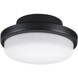 TriAire Custom 18W 1 LED Ceiling Fan Light Kit by Fanimation - LK8514op