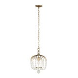 Voliere 1 Light Medium Pendant by Varaluz - 343P01