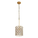 Windsor 1 Light Medium Pendant by Varaluz - 345P01