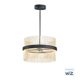 Chimes 106W 2 LED Large Pendant by ET2 - E34205
