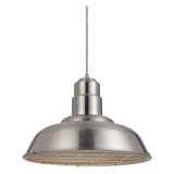Clarkson Series 1 Light Large Pendant by Matteo - C54111