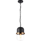 Tillie 1 Light Small Pendant by Matteo - C73801