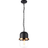 Tillie 1 Light Small Pendant by Matteo - C73801