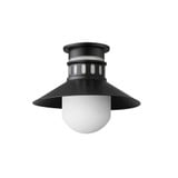 Admiralty 1 Light 12 Inch Wide Outdoor Flush Mount by Maxim - 35120