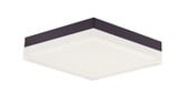 Illuminaire II 18W 1 LED 8.5 Inch Wide Square Flush Mount by Maxim - 57688CLFT