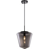 Idina 1 Light Medium Pendant by Matteo - C80302