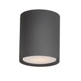 Lightray 15W 1 LED 5 Inch Wide Flush Mount by Maxim - 86104A