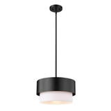 Counterpoint 1 Light Medium Pendant by Z-Lite - 495P12