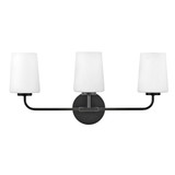 Kline 36W 3 Light Vanity Light by Lark - 853453