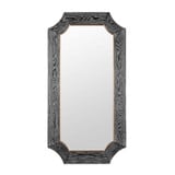 Farra Wall Mirror 54 Inch Tall and 28 Inch Wide By Varaluz - 449MI28