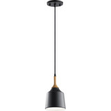 Danika 1 Light Mini Pendant by Kichler - 43682