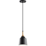 Danika 1 Light Mini Pendant by Kichler - 43682