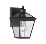 Ellijay 1 Light Wall Lantern by Savoy House - 5-140