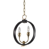 Dresden 2 Light Pendant 15.5 x 11.75 Inch by Hudson Valley - 6712