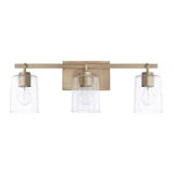 Greyson 3 Light Vanity Light by Homeplace - 128531