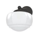 Saddle Creek 1 Light Wall Sconce by Hunter - SCLW1