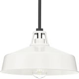 Cedar Springs 1 Light Medium Outdoor Pendant by Progress - P550116