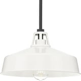 Cedar Springs 1 Light Medium Outdoor Pendant by Progress - P550116
