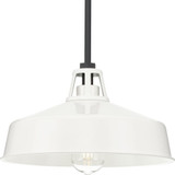 Cedar Springs 1 Light Medium Outdoor Pendant by Progress - P550116