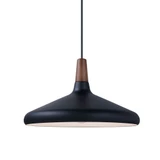 Nordic 1 Light Medium Pendant 15.25 Inch Wide by Maxim - 11354WNB