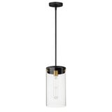 Pinn 1 Light Small Pendant by Maxim - 12408