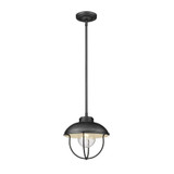 Ansel 1 Light Small Outdoor Pendant by Z-Lite - 590P