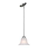 Multi Family 1 Light Small Pendant by Golden - 4120