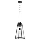 Pylon 1 Light Medium Pendant 18.75 Inch Tall by Quorum - 827