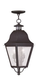 Amwell 2 Light Small Outdoor Pendant by Livex - 2546