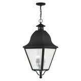 Amwell 4 Light Medium Outdoor Pendant by Livex - 2547