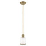 Middlebush 1 Light Mini Pendant by Livex - 40210