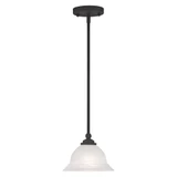 North Port 1 Light Small Pendant by Livex - 4256