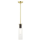 Beckett 1 Light Mini Pendant by Livex - 51160