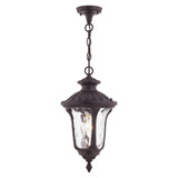 Oxford 1 Light Small Outdoor Pendant 17.5 Inch Tall by Livex - 7854