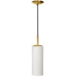 Paza 1 Light Pendant In Modern Style 11 x 4 Inches by Dainolite - 83202
