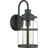 Haslett 1 Light Outdoor Wall Lantern 18.13 Inch Tall by Progress - P560095