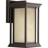 Endicott 1 Light Outdoor Wall Lantern 14.25 Inch Tall by Progress - P5610