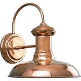 Brookside 1 Light Outdoor Wall Lantern 10.75 Inch Tall by Progress - P5722