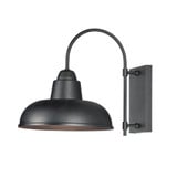 Industrial 1 Light Outdoor Wall Lantern by Maxim - 10118