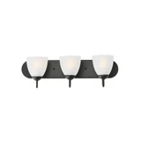 Axis 3 Light Vanity Light by Maxim - 11383FT