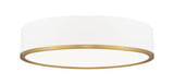 Bradley 50W 1 LED Flush Mount 4 Inch Tall and 20.25 Inch Wide By Z-Lite - 1018F20