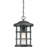 Crusade 1 Light Outdoor Small Pendant by Quoizel - CSE1910