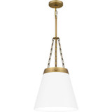 1 Light Industrial Medium Pendant by Quoizel - QPP6183