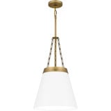 1 Light Industrial Medium Pendant by Quoizel - QPP6183