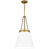 1 Light Industrial Medium Pendant by Quoizel - QPP6183